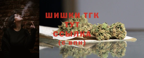 дмт Аркадак