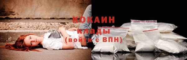 мяу мяу мука Арсеньев