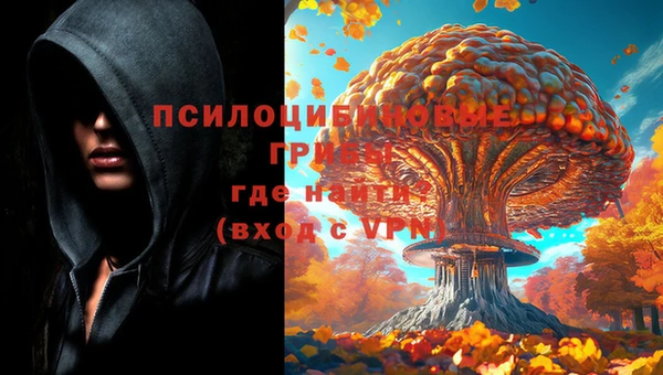 шишки Армянск