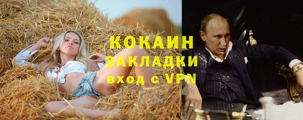 мяу мяу мука Арсеньев