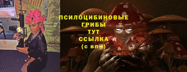 мяу мяу мука Арсеньев