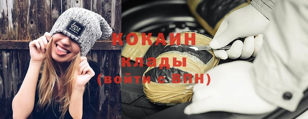 шишки Армянск