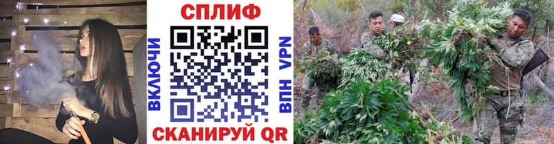 Купить закладки  Красновишерск  Бошки марихуана SATIVA & INDICA 
